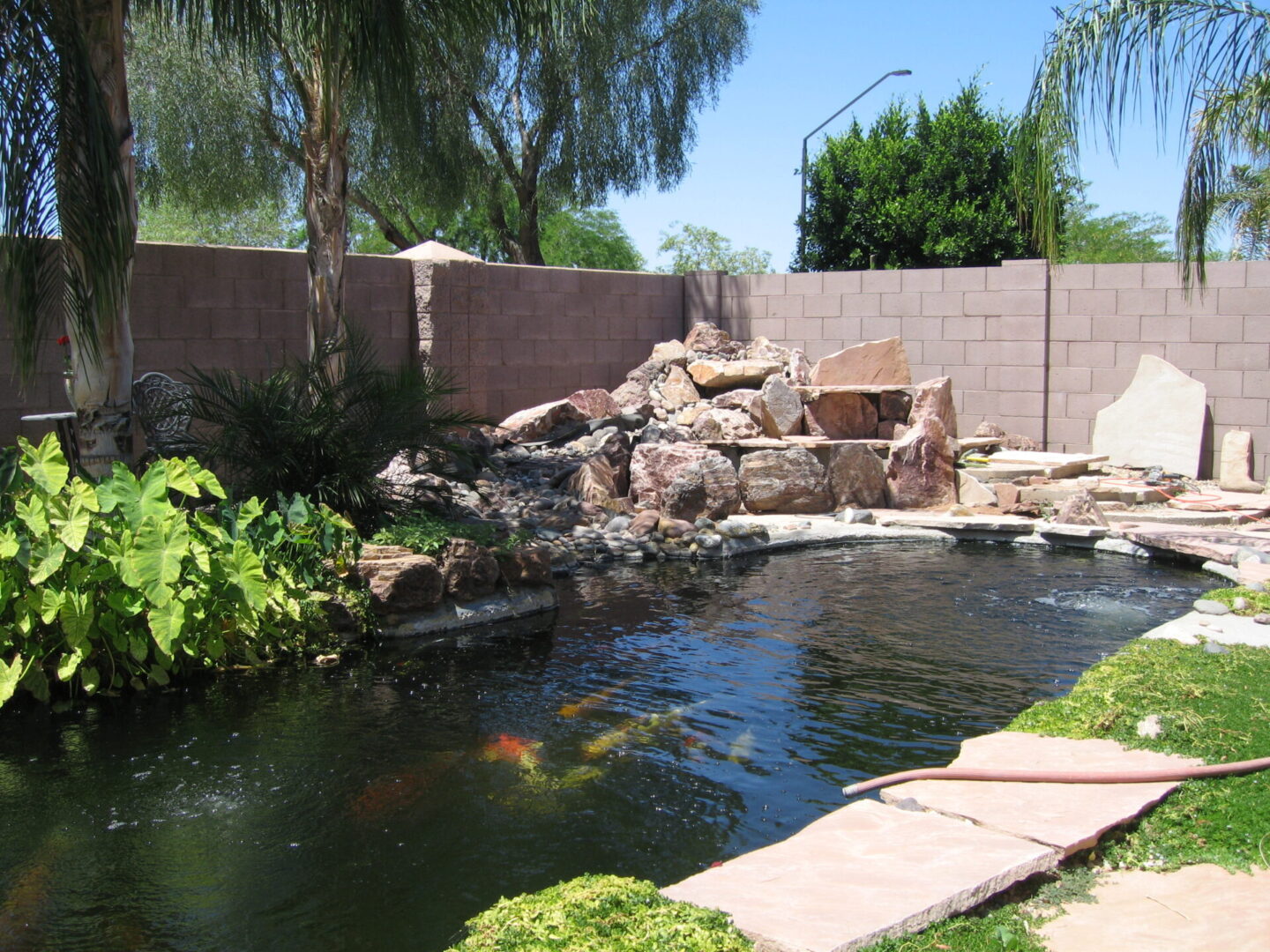 Tranquil garden pond and plants